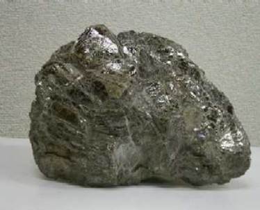photo1.jpg